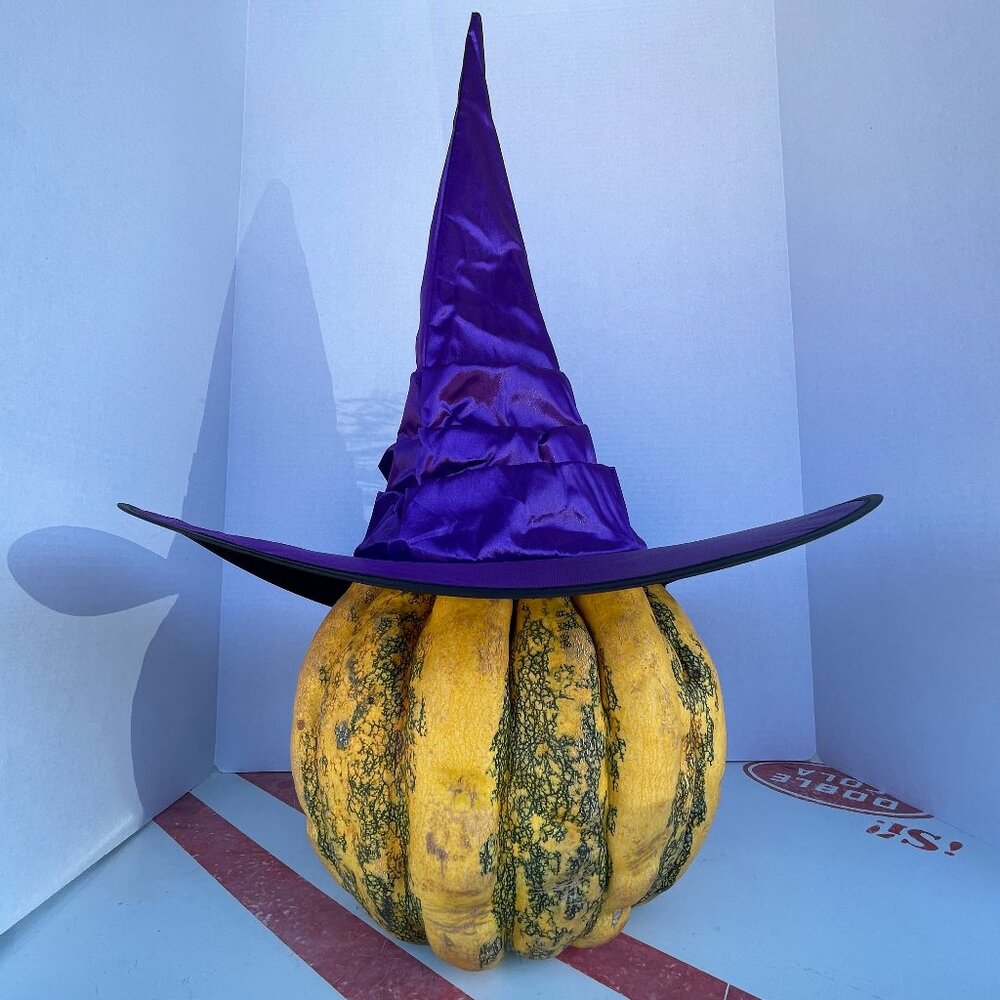 Brand New (4 available) One Size Tiered Tall Pointy Metallic Purple Witch's Hats